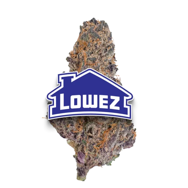 Blue Cherry Gelato - Image 2