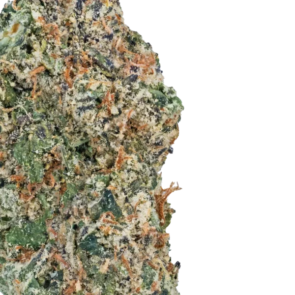 Runtz - Image 3