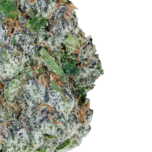 Alien ET - Image 3