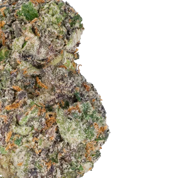 Gelato 45 - Image 4