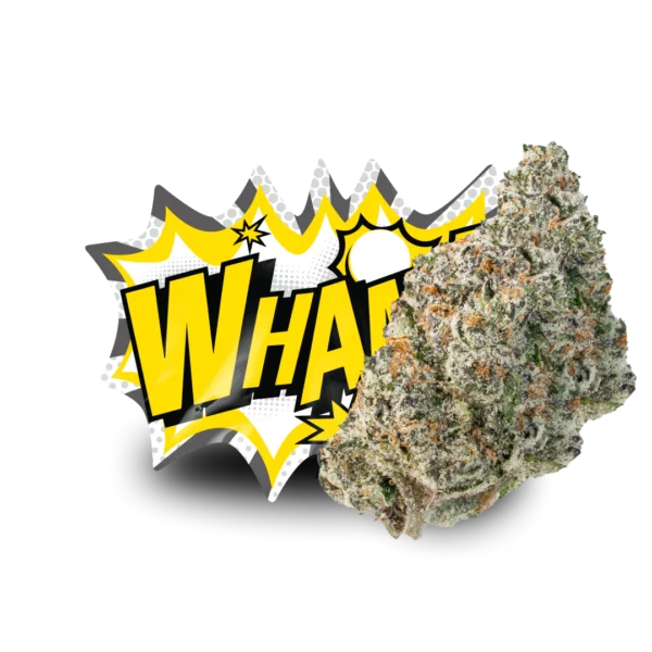 WHAM! - Image 5