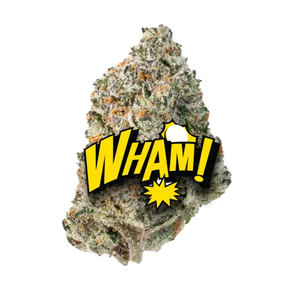 WHAM! - Image 2