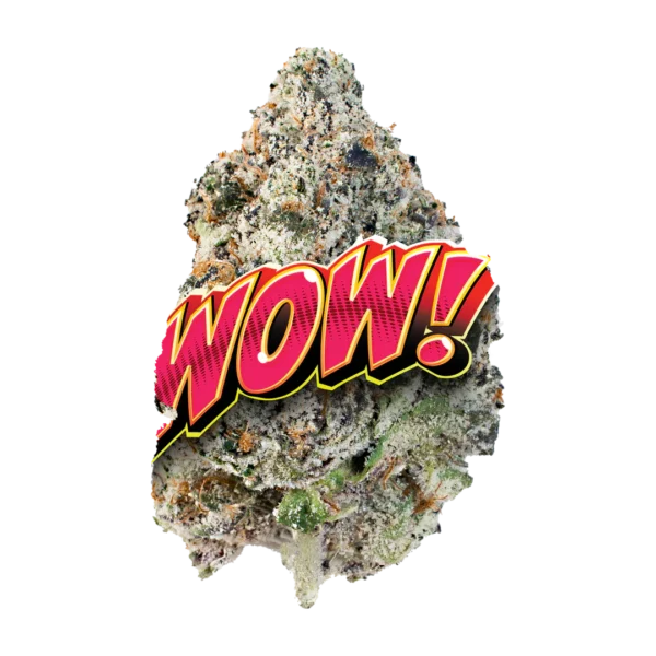 WOW! - Image 2