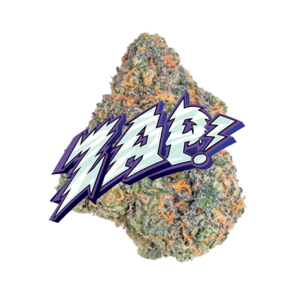 ZAP! - Image 2