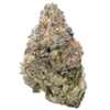 Bulk Discount Indoor Flower Strain
