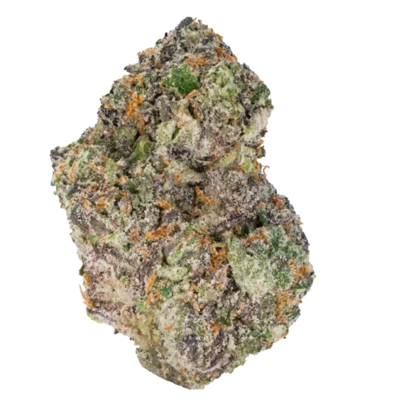 Gelato 45