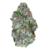 Alien ET