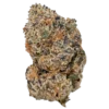 Cherry Zashimi