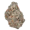 Bulk Super Exotic Flower Sativa
