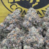 Runtz Zooshi (Hybrid)