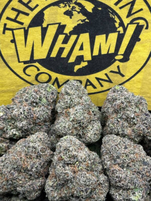 Space Junky Strain