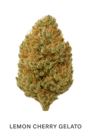 Lemon Cherry Gelato