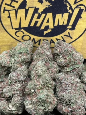 Crostada Strain