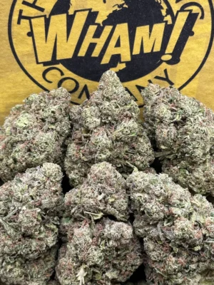 Blue Dream Strain