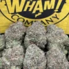 Koolato (Hybrid)