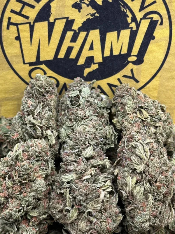 Octane Gas Strain