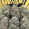 Biscotti Strain