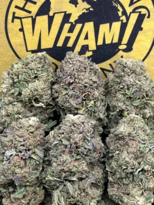 Biscotti Strain