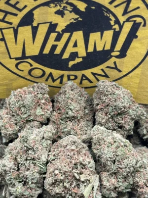 Do Si (Indica)