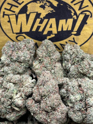 Mr Nasty Strain