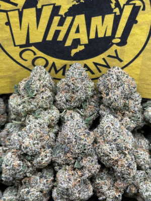 ZAP (Indica Hybrid)