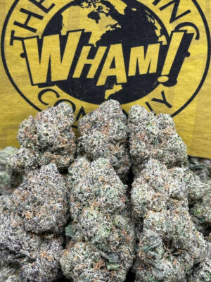 White Cherry Gelato