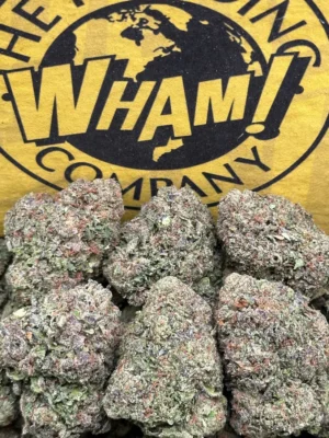 Georgia Pie Strain