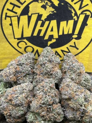 Goonfellas (Indica)