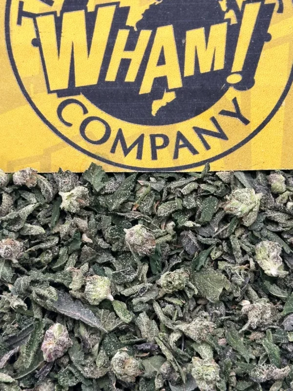 Nimbus Candy Strain