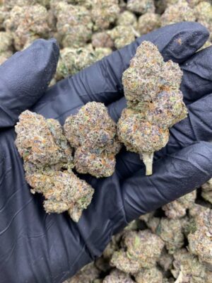 Lemon Cherry Strain